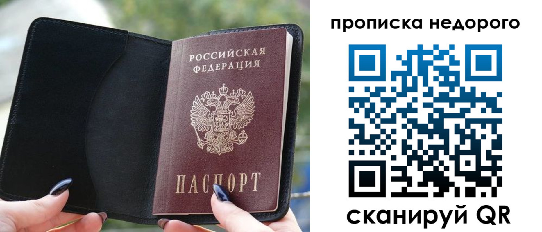 временная регистрация поиск в Мончегорске